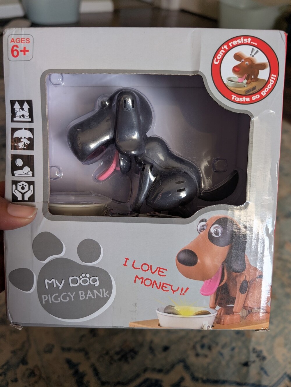 Dog Piggy Bank